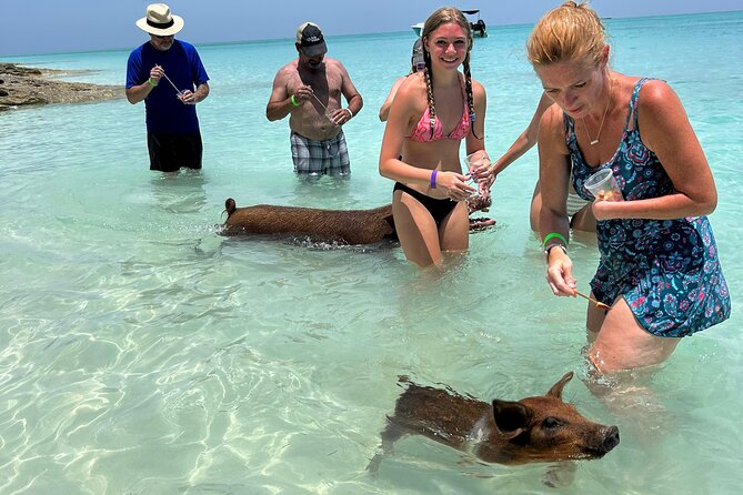 007 Private Beach Club -Swimming Pigs, Snorkeling, Lunch, Drinks - Key things to know before you go