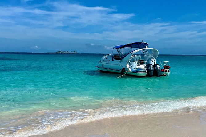 2 Hours Sip and Snorkeling Experience in Bahamas - Shipwreck Viewing: Weather Permitting, So Plan for Both Outcomes