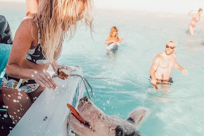 3 Islands Tour, Swim with Pigs, Turtles, Snorkelling & lunch - Lunch and Drinks on the Water: Included, but Quality Varies