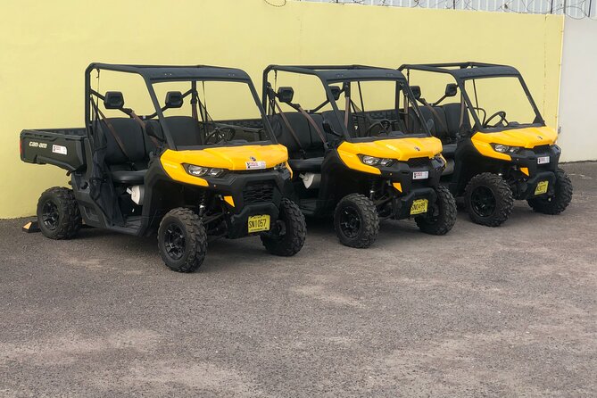 4-Hour Buggy Tour of New Providence (Inclusive of water & local deserts) - Jeep buggy driving on New Providence, in a tight 4 hours