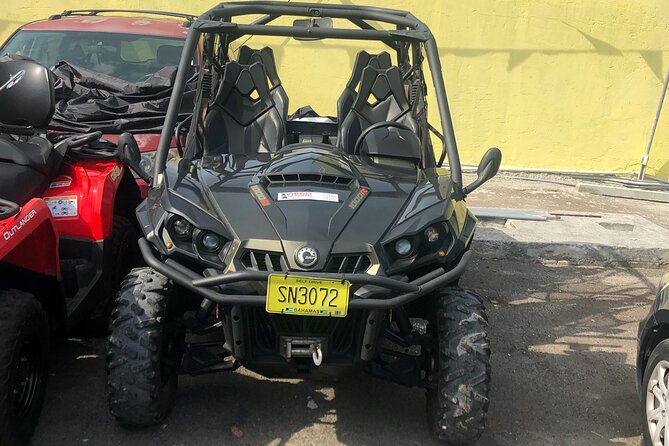 4-Hour Buggy Tour of New Providence (Inclusive of water & local deserts) - The ride experience: open-air fun with real-world comfort tips