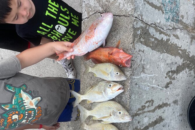 4-Hour Fishing Charter in Nassau - Key things that make this Nassau charter worth your time