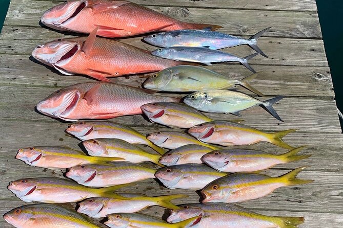 4 hours 34ft Day Dream Private Charter in Nassau - The water moments: reef fishing, turtles, and the kind of stops you actually want