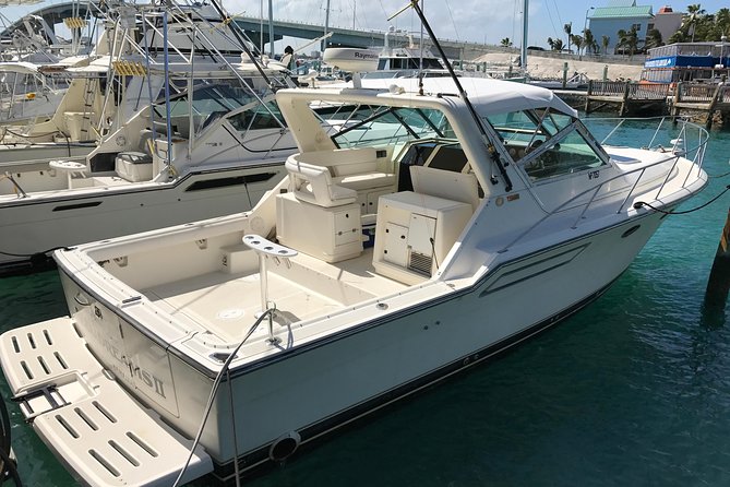 4 hours 38ft Reel Dreams Private Charter in Nassau - Key Points to Know Before You Go