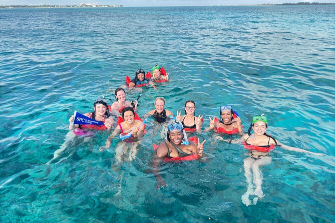 4-Island Tour Swimming Pigs, turtles, snorkeling , rose island, - Price and logistics: is $175 really fair for four hours?