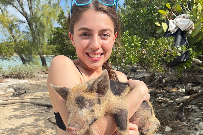 4-Island Tour Swimming Pigs, turtles, snorkeling , rose island, - Swimming pigs on Athol Island: the star stop