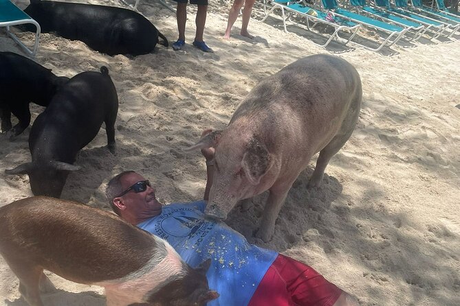 4hr Private Tour Island Hop Snorkel w/ Turtles & Sip Bahama Mamas - Green Turtle Cay snorkeling, turtles on the reef, and smart timing