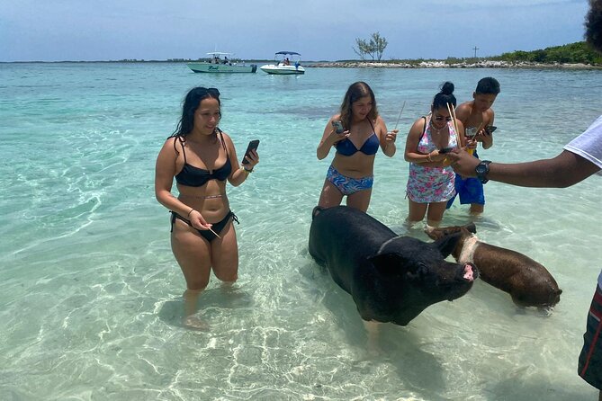 4hr Private Tour Island Hop Snorkel w/ Turtles & Sip Bahama Mamas - Price and what $1,200 for up to 12 actually buys you