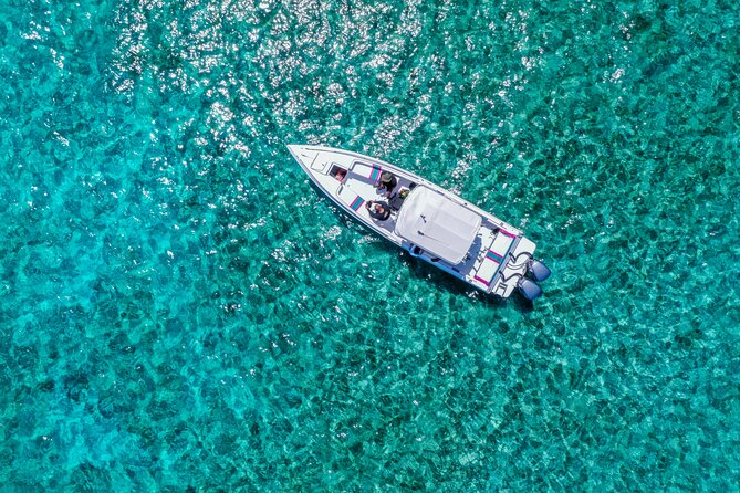 5 Hours Pigs and Turtles with Beach Stop in Bahamas - Key things to know before you go