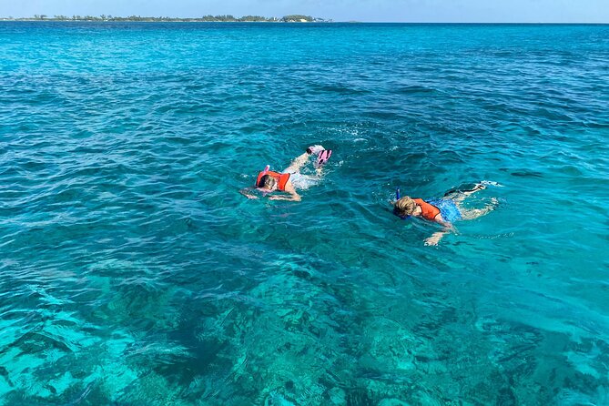 5 Hours Pigs and Turtles with Beach Stop in Bahamas - Small-Group Boat Day From Paradise Island