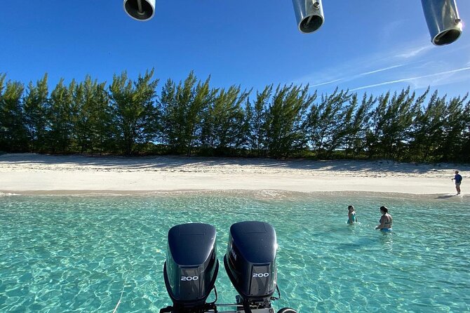 5 Hours Pigs and Turtles with Beach Stop in Bahamas - Nassau Transfer Stop: Practical Views and a Built-In Way to Get Around