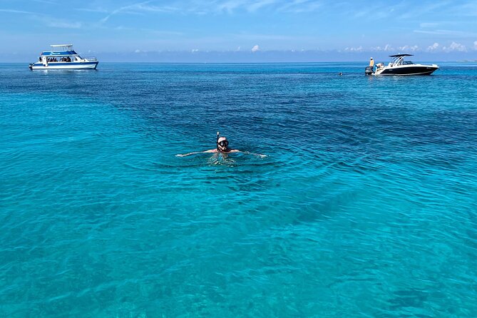 5 Hours Pigs and Turtles with Beach Stop in Bahamas - Atholl Island: Swimming Pigs With Less Crowd Energy