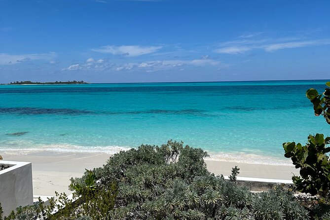 8 hours 34ft Day Dream Private Charter in Nassau - Snorkeling with turtles and maybe more sea life