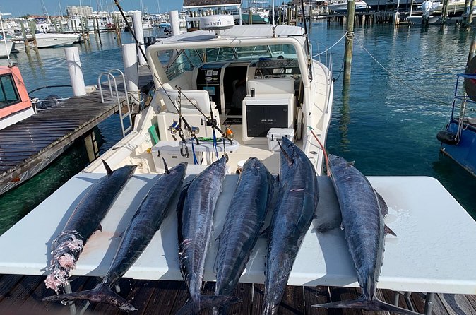 8 hours 38ft Reel Dreams Private Charter Nassau - Private boat comfort: what changes with a 38 ft charter