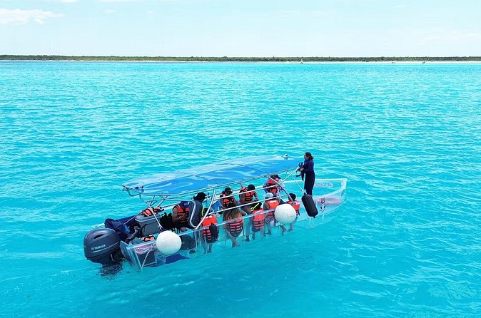 Adventures of the Lost Atlantis Bimini Road - The guides and what makes the experience feel easy