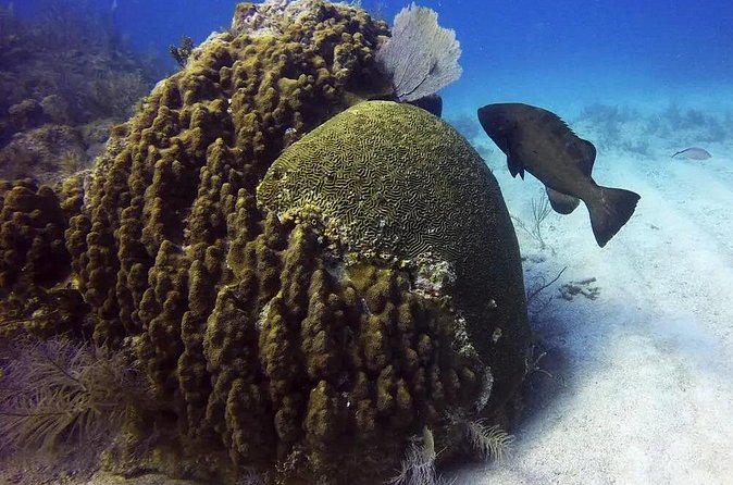 Adventures of the Lost Atlantis Bimini Road - Weather, visibility, and why they matter more than you think