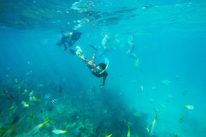 All Inclusive Half Day Sail and Snorkel - What to expect, before you go