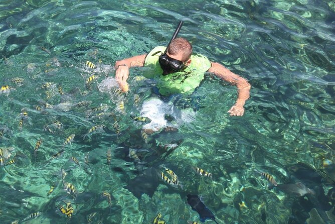 All Inclusive Half Day Sail and Snorkel - Half-day sailing from Paradise Island, with real “uninhabited island” energy
