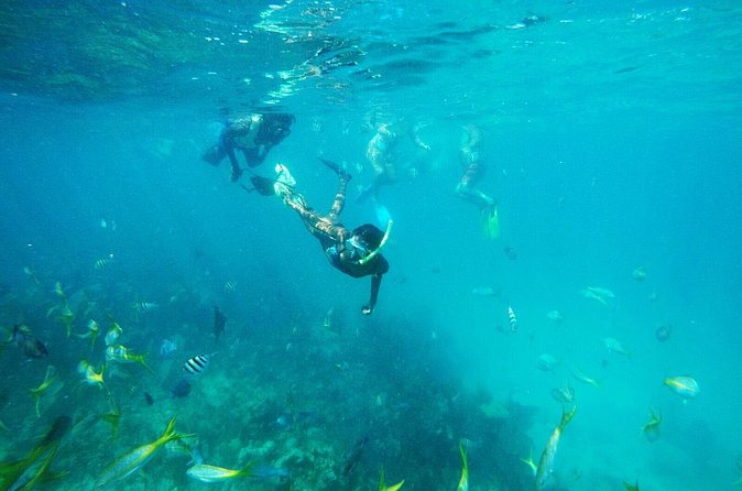 All Inclusive Half Day Sail and Snorkel - Boarding, pickup, and timing: how to reduce the stress