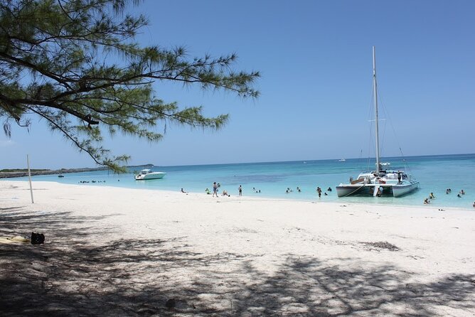 All Inclusive Half Day Sail and Snorkel - Crew and onboard vibe: friendly, fun, and very human