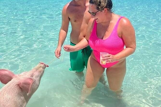 All Inclusive Pig Encounter, Snorkeling, Turtles, Lunch & Beach - Green Cay turtle sanctuary: the dedicated turtle time