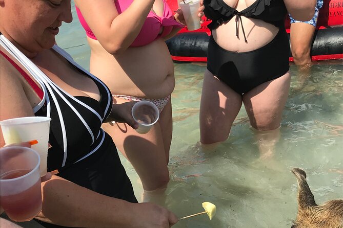 All Inclusive Swimming With The Pigs - Snorkeling equipment and fishing rods: extra ways to use the water time