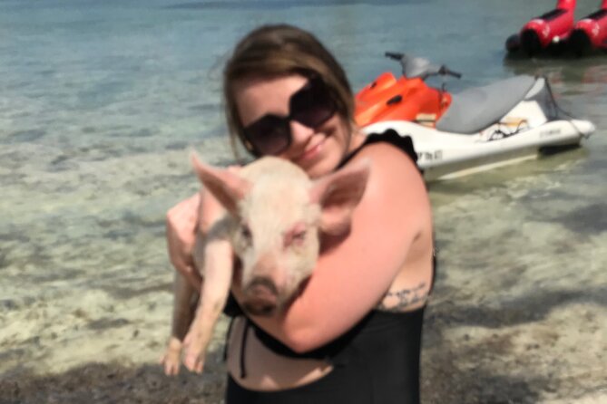 All Inclusive Swimming With The Pigs - Price and value: is $150 a fair deal for this mix?