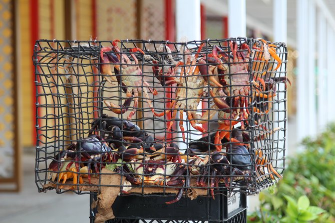 Around Town/Bahamian Cooking Experience - Why This Tour Works in Freeport (Even if You Only Have Half a Day)