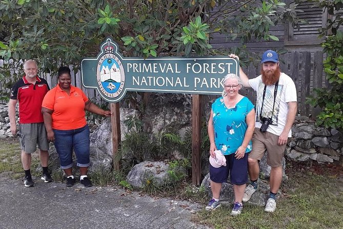 At YOUR Pace Private Tours V.I.P - Nassau, Bahamas - How the Day Works, From Pickup to Your Chosen Route