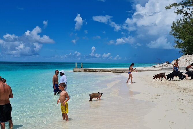Athol Island Swimming Pigs Half-Day Boat Tour with Lunch - A Nassau half-day built around animals and reefs