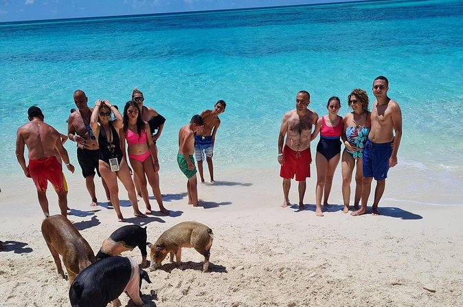 Athol Island Swimming Pigs Half-Day Boat Tour with Lunch - Pearl Island snorkeling: short time, lots of color