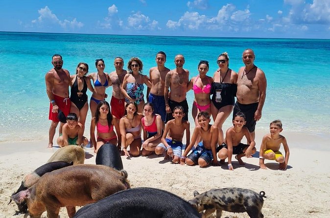 Athol Island Swimming Pigs Half-Day Boat Tour with Lunch - Green Cay turtles: you choose your comfort level