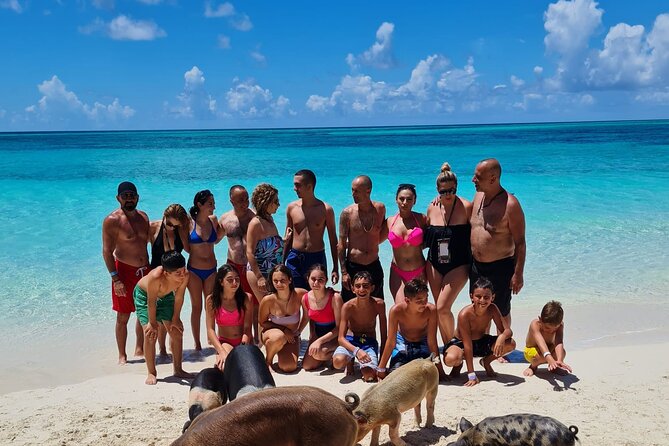Athol Island Swimming Pigs Half-Day Boat Tour with Lunch - Athol Island swimming pigs: the highlight, handled with care