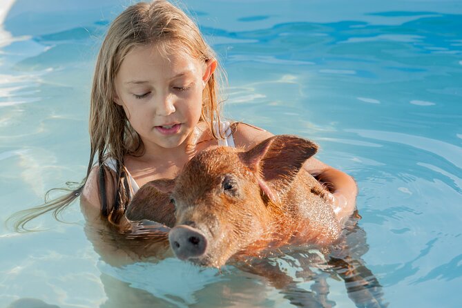 Bahamas Adventure: Pigs, Reef, Turtles, and Beach with Lunch - Drinks, lunch, and snorkeling gear: where the money actually goes
