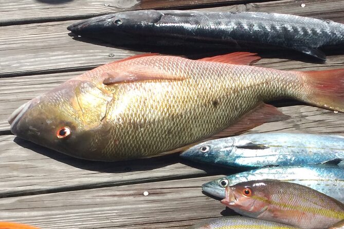 Bahamas Deep Sea Fishing - How the Fishing Works: Anchors, Reefs, and Seasonal Speeds
