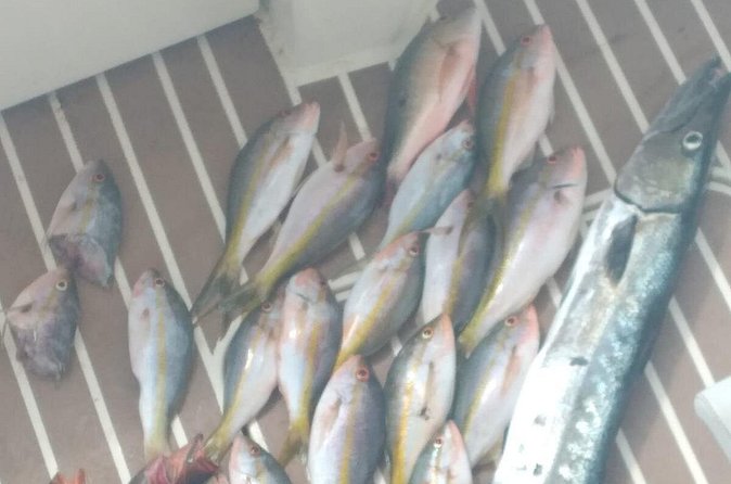 Bahamas Deep Sea Fishing - Snacks and Meals: The One Practical Gap You Should Plan For