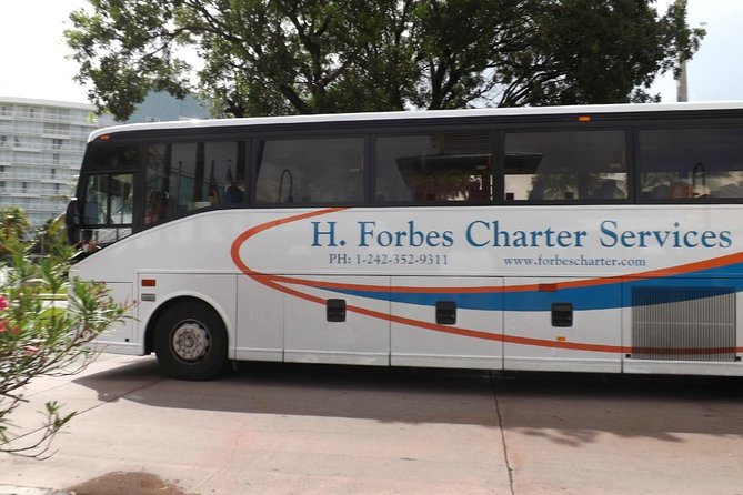 Bahamas Get-A-Round Bus Pass - Freeport on Your Terms: What the Get-A-Round Bus Pass Really Buys