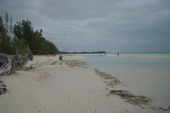 Bahamas Get-A-Round Bus Pass - Price and Value: Is $50 Enough to Justify a Week of Riding?