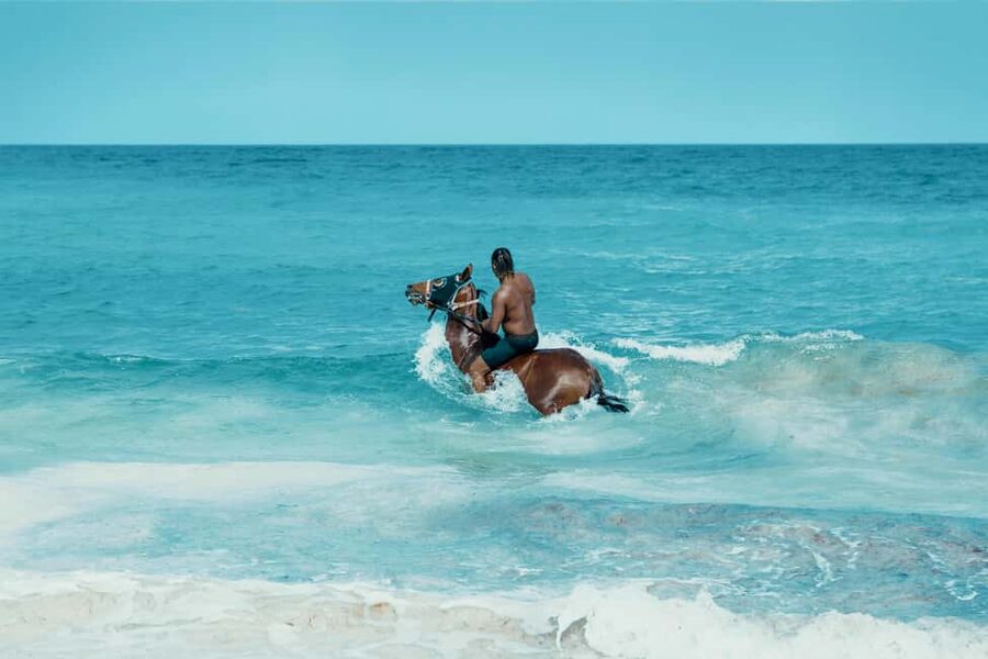 Bahamas: Nassau Horseback Riding on Beaches & Trails - Key things that make this ride worth your time