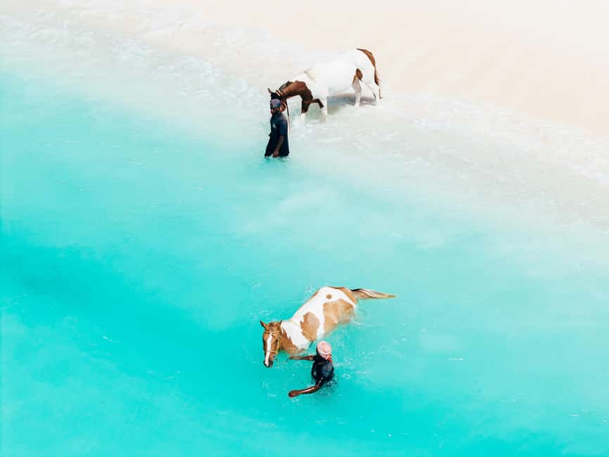 Bahamas: Nassau Horseback Riding on Beaches & Trails - Nassau Horseback Riding, the Real Feel of Beach and Trail