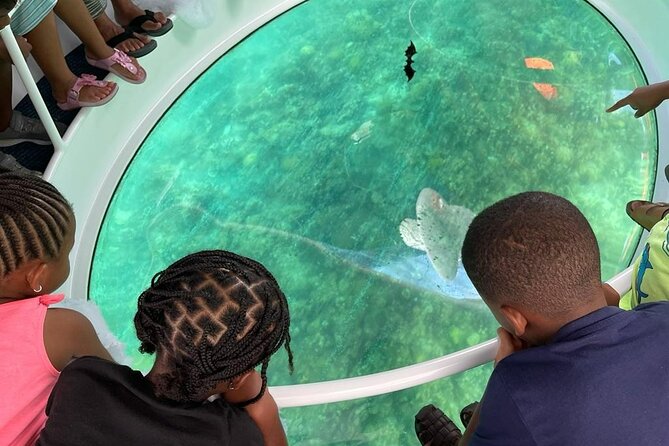 Bahamas on a Semi Submersive Glass Bottom Boat - Cruise Commentary With Names You Might Hear On Board