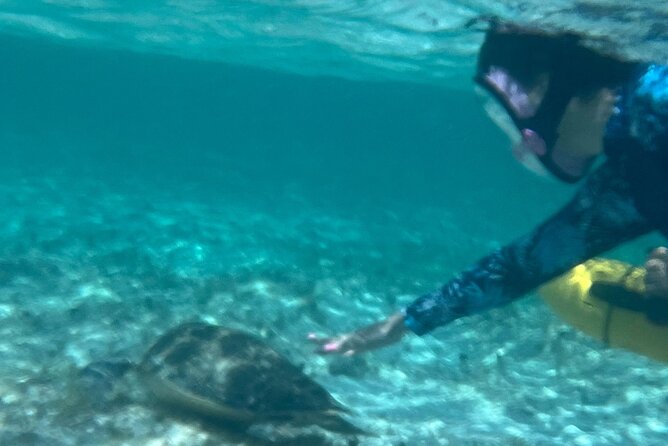 Bahamas Sea Scooter Snorkeling Adventure - Lunch on the Beach, Plus Optional Sun Time Afterward