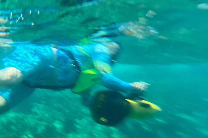 Bahamas Sea Scooter Snorkeling Adventure - Your Guide Mikey, and Why Small Groups Matter