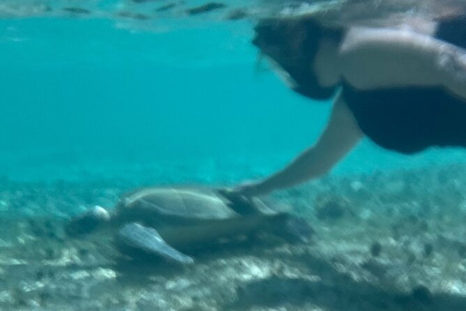Bahamas Sea Scooter Snorkeling Adventure - Who Should Book This Sea Scooter Snorkeling Adventure