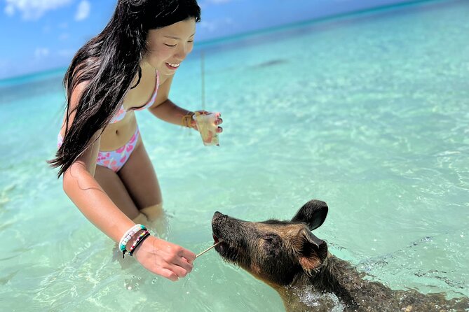 Bahamas Swimming Pigs Experience on Rose Island - Quick take: what matters on this Rose Island pig day
