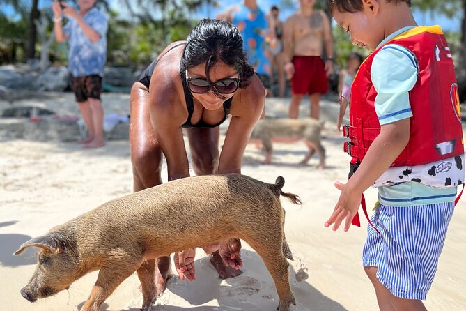 Bahamas Swimming Pigs Experience on Rose Island - What you’re really buying: a pig beach plus a tight schedule