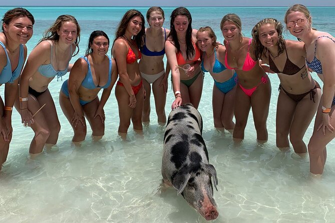 Bahamas Swimming Pigs Experience on Rose Island - Lunch on Rose Island: included, often good, sometimes slow