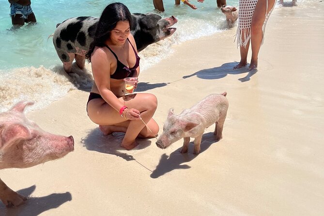 Bahamas Swimming Pigs Experience on Rose Island - How long you’ll be on the island, and how to use that time
