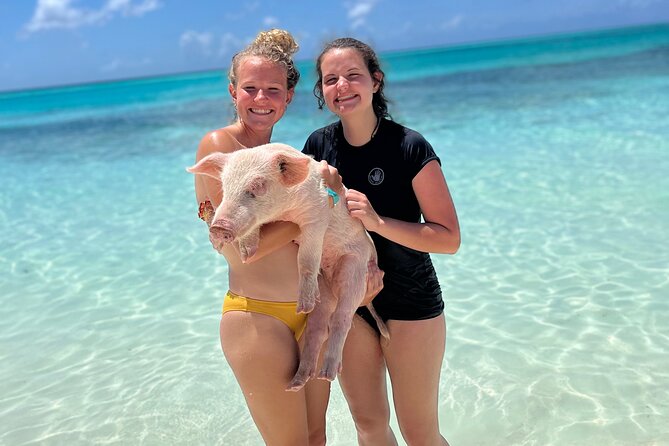 Bahamas Swimming Pigs Experience on Rose Island - Family-friendly notes: strollers, kids, and the best age fit