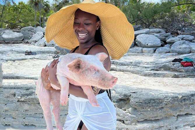 Bahamas Swimming Pigs Experience on Rose Island - Getting from Nassau to Rose Island: pickup to ferry flow